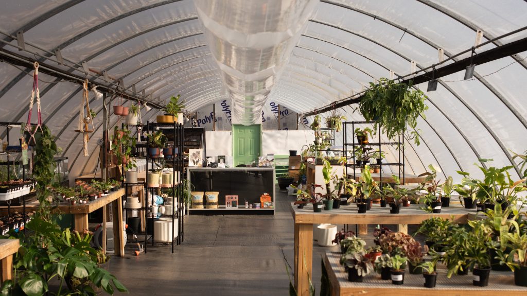 Roots & Rarities Greenhouse, Asheville