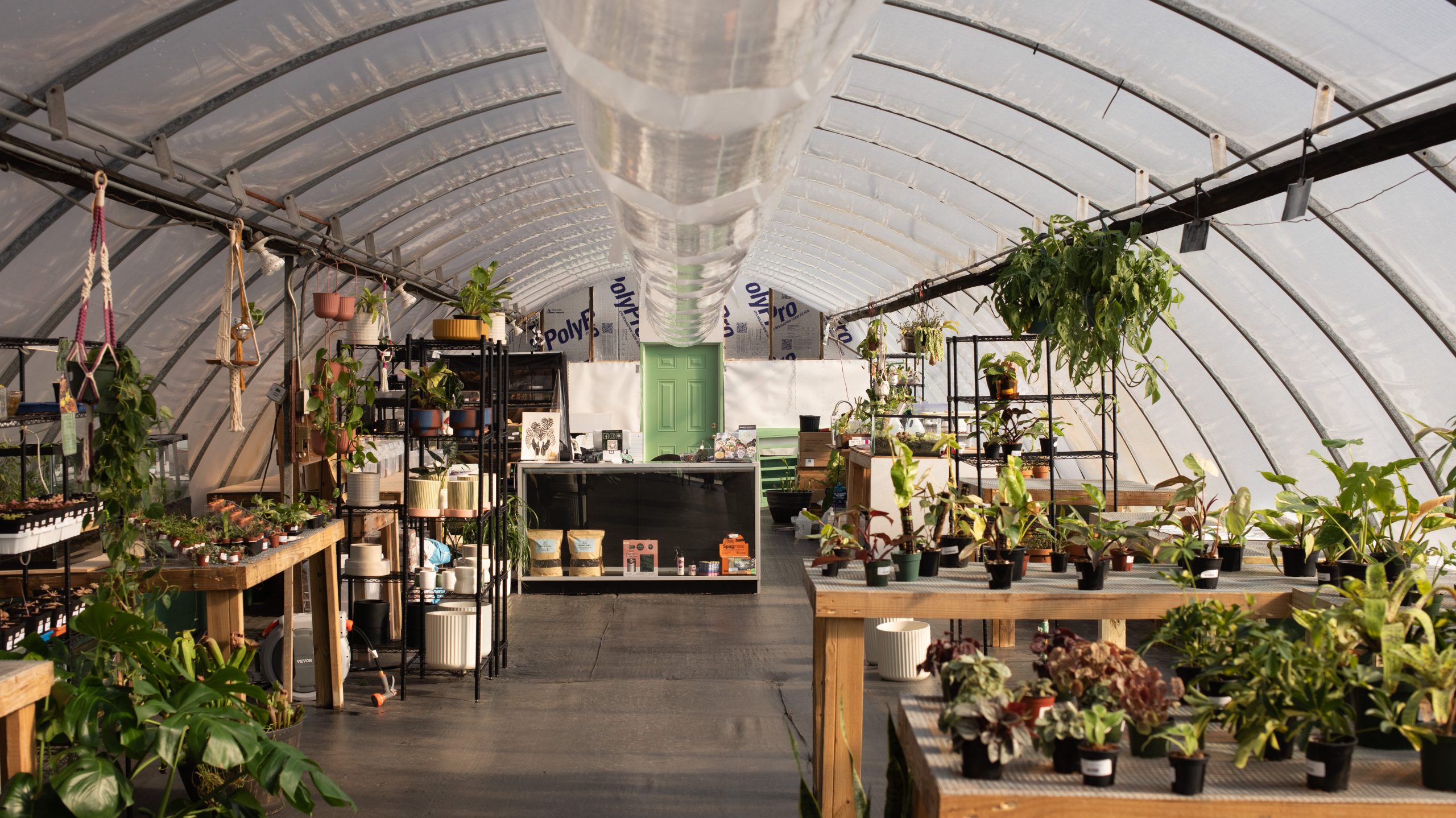 Roots & Rarities Greenhouse, Asheville